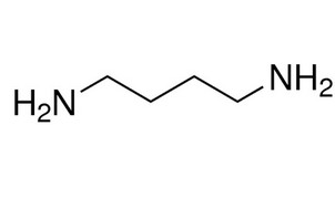 image de la molécule 1,4-Diaminobutane