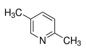 image de la molécule 2,5-Lutidine