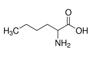 image de la molécule 2-Aminohexanoic acid