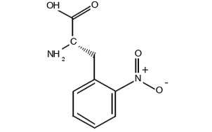 image de la molécule 2-Nitro-L-phenylalanine