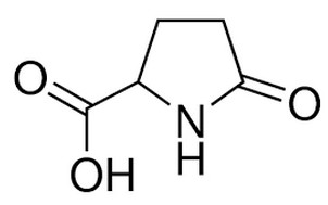 image de la molécule 2-Pyrrolidone-5-carboxylic acid