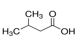 image de la molécule 3-Methylbutanoic acid