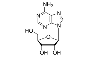 image de la molécule Adenosine