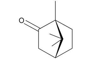 image de la molécule D-Camphor