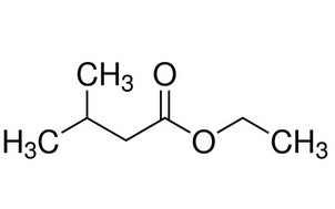 image de la molécule Ethyl isovalerate