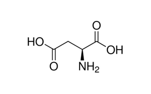 image de la molécule L-Aspartic acid
