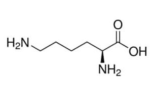image de la molécule L-Lysine