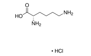 image de la molécule L-Lysine monohydrochloride