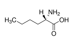 image de la molécule L-Norleucine