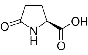 image de la molécule L-Pyroglutamic acid