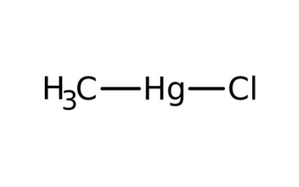 image de la molécule Methylmercury(II) chloride