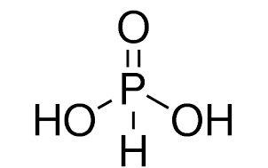 image de la molécule Phosphorous acid