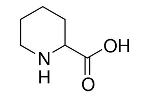 image de la molécule Pipecolinic acid