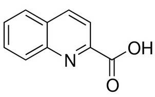 image de la molécule Quinaldic acid
