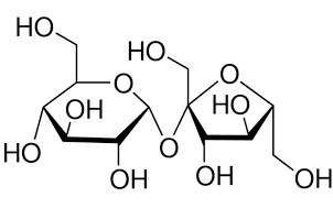 image de la molécule Sucrose