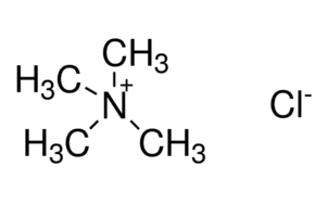 image de la molécule Tetramethylammonium chloride