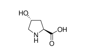 image de la molécule trans-4-hydroxy-L-proline
